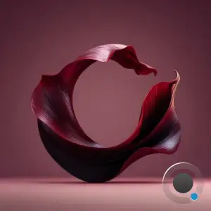Adrian Roman, Thimble - Banal Allegation (2025)