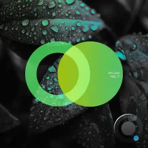 AYU (UA) - Feel It (2025)