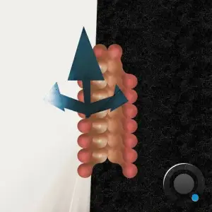 Polygonia - Cross Passage (2025)