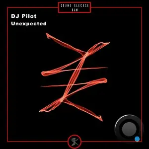 DJ Pilot - Unexpected (2025)
