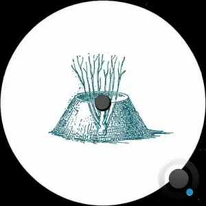 Shcuro - Echo Chamber (2025)