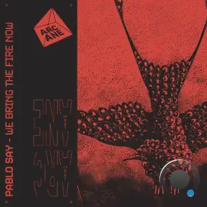 Pablo Say - We Bring The Fire Now (2025)