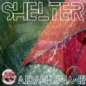 Aidan Lenane - Shelter (2025)