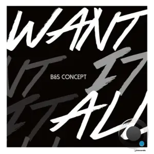 B And S Concept - Want It All (2025)