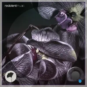 Jaalex & La Santa Music - Wear Black (2025)