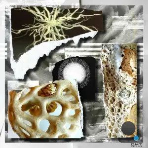 Planctophob - Mycelial (2025)