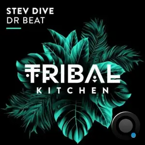 Stev Dive - Dr Beat (2025)