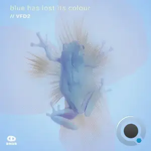 VFD2 - Blue Has Lost Its Colour (2025)