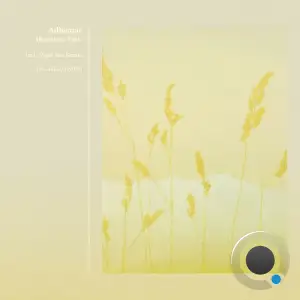 Adhémar - Mountain View (2025)