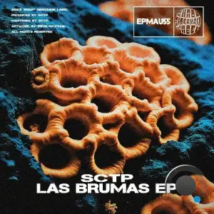 SCTP - Las Brumas (2025)