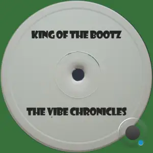 Unknown Artist - The Vibe Chronicles (2025)