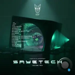 Sayetech, Vol. 2 (2025)
