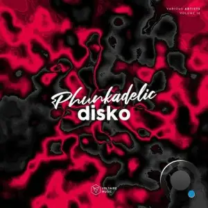 Phunkadelic Disko, Vol. 16 (2025)
