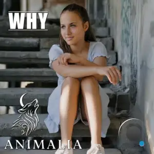 Animalia - Why (2025)