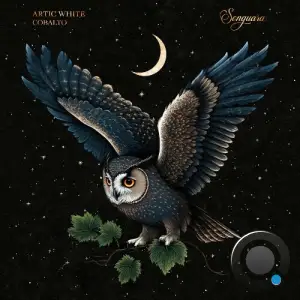 Artic White - Cobalto (2025)