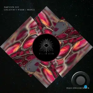 Neptun 505 - Creator's Whim / Merge (2025)