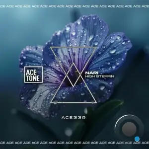 NARI - High Steppin (2025)
