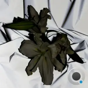 XVIII - Raw Archive (2025)