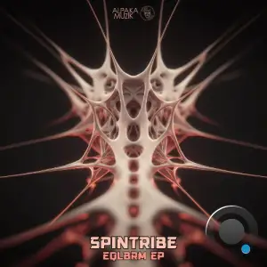 Spintribe - EQLBRM (2025)