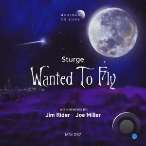 Sturge - Wanted to Fly (2025)