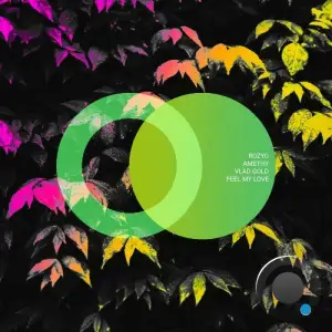 ROZYO, Amethy - Feel My Love (2025)
