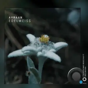 Avraan - Edelweiss (2025)