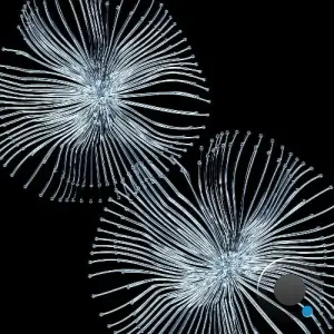 BOg - This Feeling (2025)