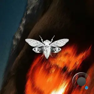 Fran Fernández - Shadows (2025)