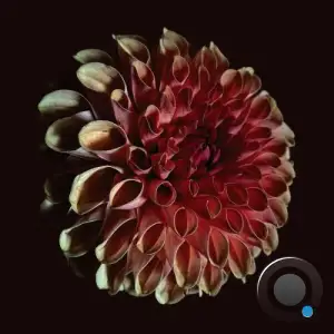 Jessica Moss, Tony Buck - Unfolding (2025)