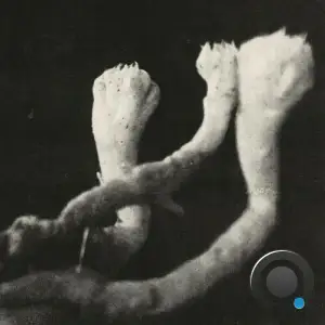 Laeuten der Seele - Unterhaltungen mit Larven und Ueberresten (2025)