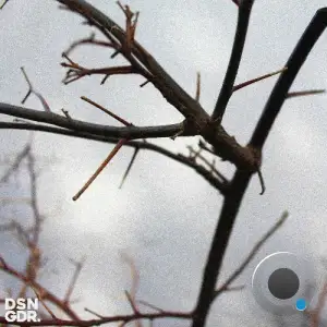 DSNGDMANN - Modern Slavery (2025)