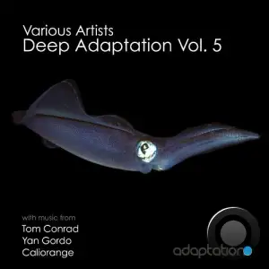 Deep Adaptation, Vol. 5 (2025)