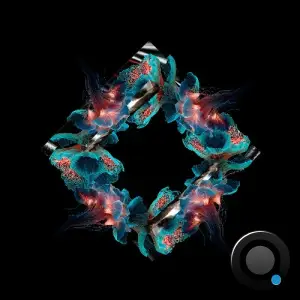 Fideles - Snaps (2025)