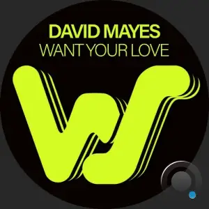 David Mayes - Want Your Love (2025)