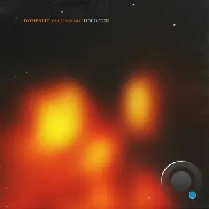 Domestic Technology - Hold You (2025)