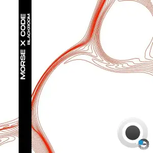 Morse X Code - BlackRoom (2025)