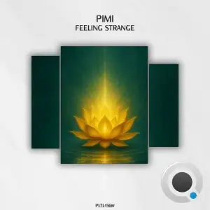 Pimi - Feeling Strange (2025)