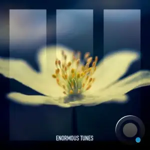 Daniel Portman - Loyalty (2025)