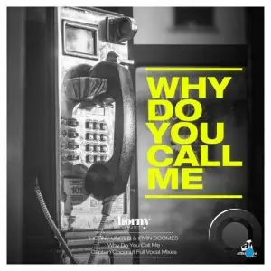 Horny United & Irvin Doomes - Why Do You Call Me (Captain Coconut Full Vocal Mixes) (2025)