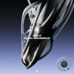 ADILR - Cuts / Bruises LP (2025)