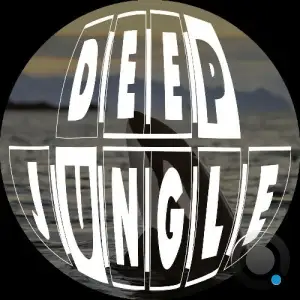 Orca - Dancing With Dolphins Vol. 2 (2025)