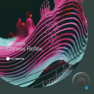 Senses - Convex Reflex (2025)