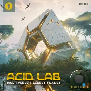 Acid Lab - Multiverse (2025)