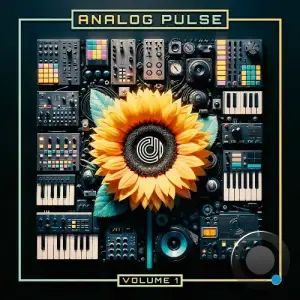 Analog Pulse Vol. 1 (2025)