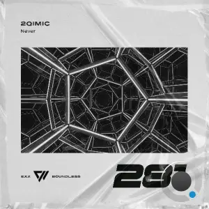2Qimic - Never (2025)