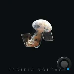 Pacific Voltage - Panpsychism (2025)