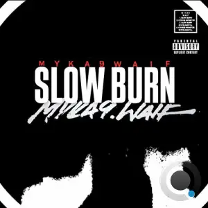 Myka 9 And DJ Waif - Slow Burn (2025)