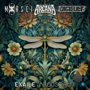 Exaile - Boost (Arcana Vs. Digicult & Morsei Remix) (2025)