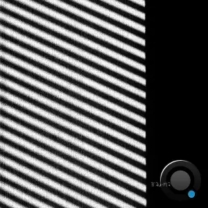 Raev - Dust & Motion (2025)