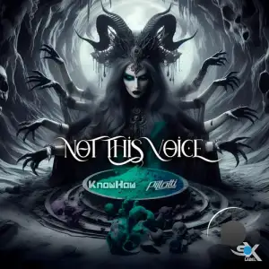 Knowhow & Pillotti - Not This Voice (2025)